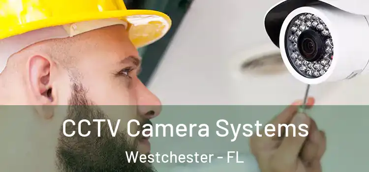  CCTV Camera Systems Westchester - FL