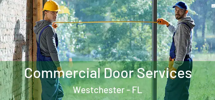  Commercial Door Services Westchester - FL