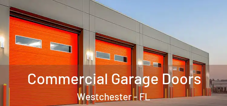 Commercial Garage Doors Westchester - FL