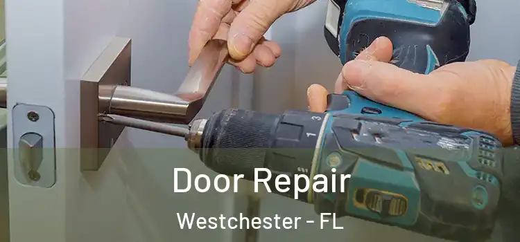  Door Repair Westchester - FL