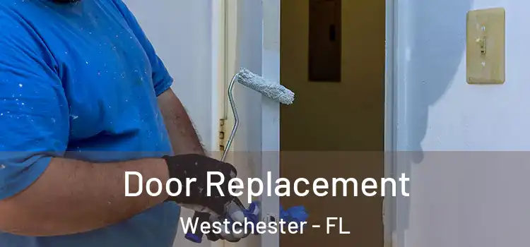  Door Replacement Westchester - FL