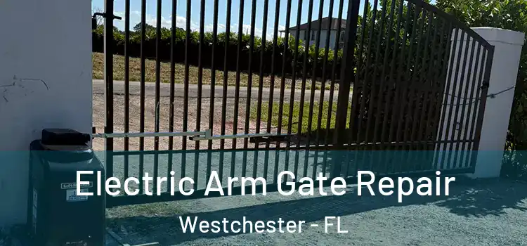 Electric Arm Gate Repair Westchester - FL