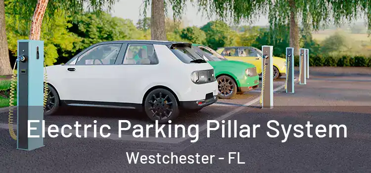  Electric Parking Pillar System Westchester - FL