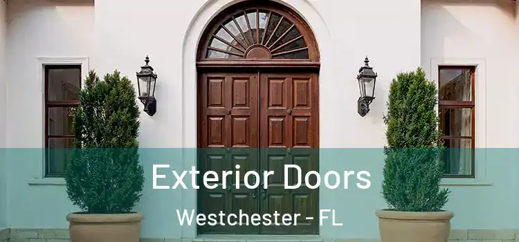 Exterior Doors Westchester - FL
