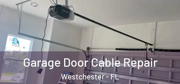  Garage Door Cable Repair Westchester - FL