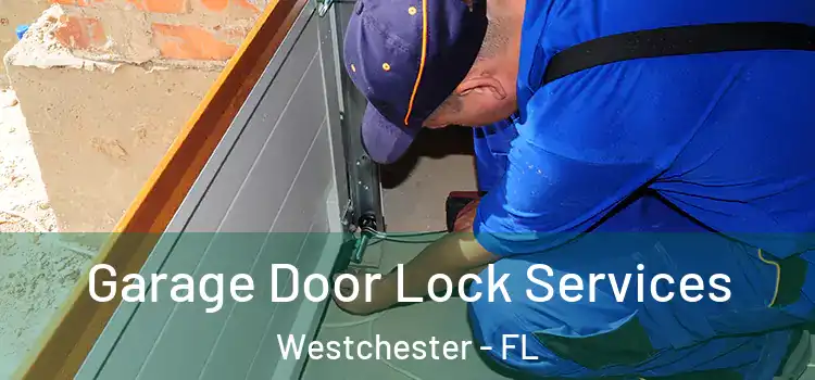 Garage Door Lock Services Westchester - FL