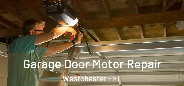  Garage Door Motor Repair Westchester - FL