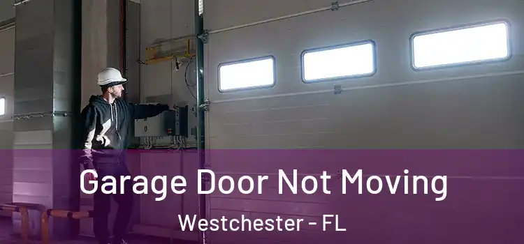  Garage Door Not Moving Westchester - FL