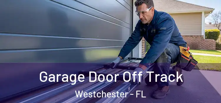  Garage Door Off Track Westchester - FL
