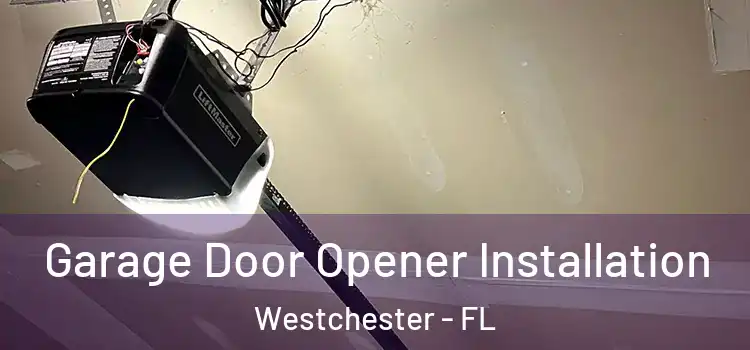  Garage Door Opener Installation Westchester - FL