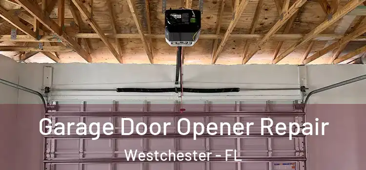  Garage Door Opener Repair Westchester - FL