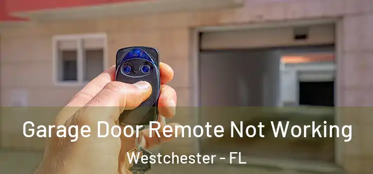  Garage Door Remote Not Working Westchester - FL