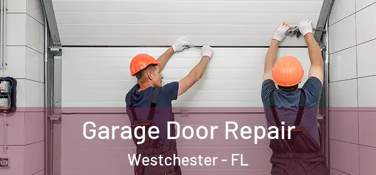  Garage Door Repair Westchester - FL