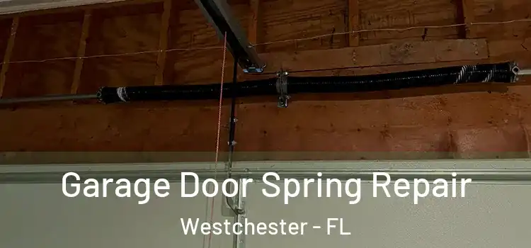  Garage Door Spring Repair Westchester - FL