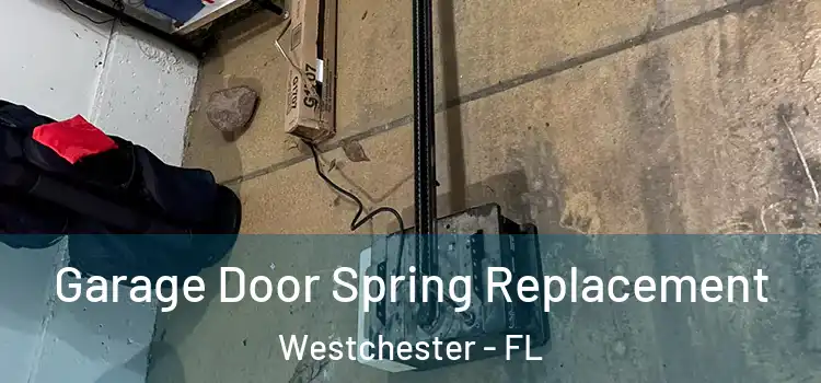  Garage Door Spring Replacement Westchester - FL