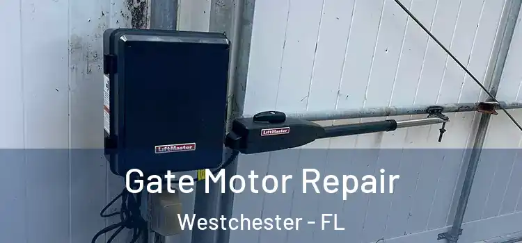  Gate Motor Repair Westchester - FL