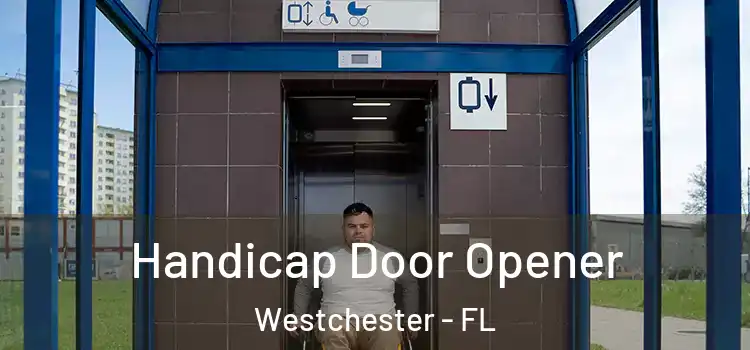  Handicap Door Opener Westchester - FL