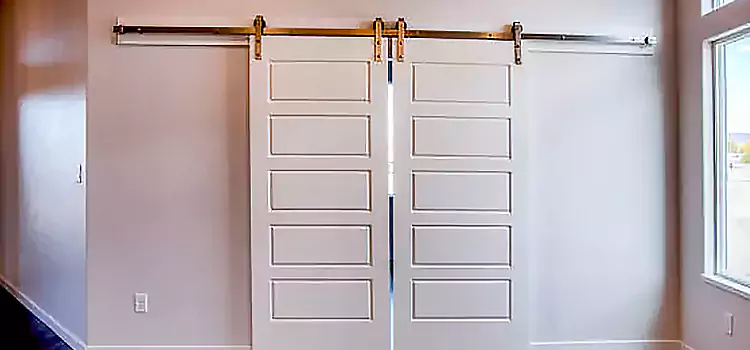 Glass Barn Door with Installation Hardware Kit Westchester