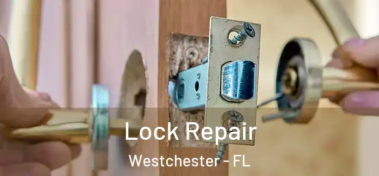 Lock Repair Westchester - FL