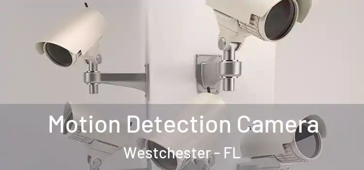  Motion Detection Camera Westchester - FL