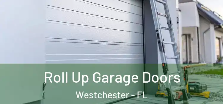  Roll Up Garage Doors Westchester - FL