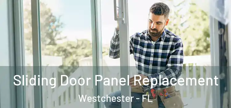  Sliding Door Panel Replacement Westchester - FL