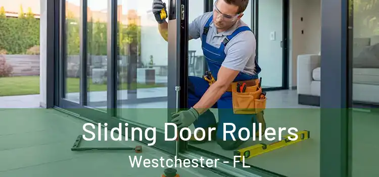 Sliding Door Rollers Westchester - FL
