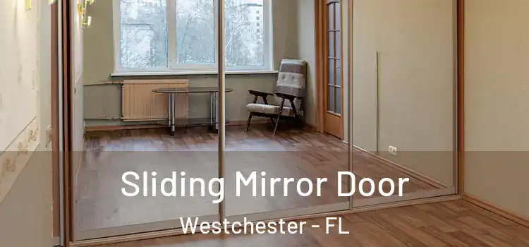  Sliding Mirror Door Westchester - FL