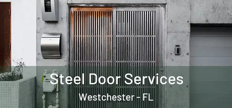 Steel Door Services Westchester - FL